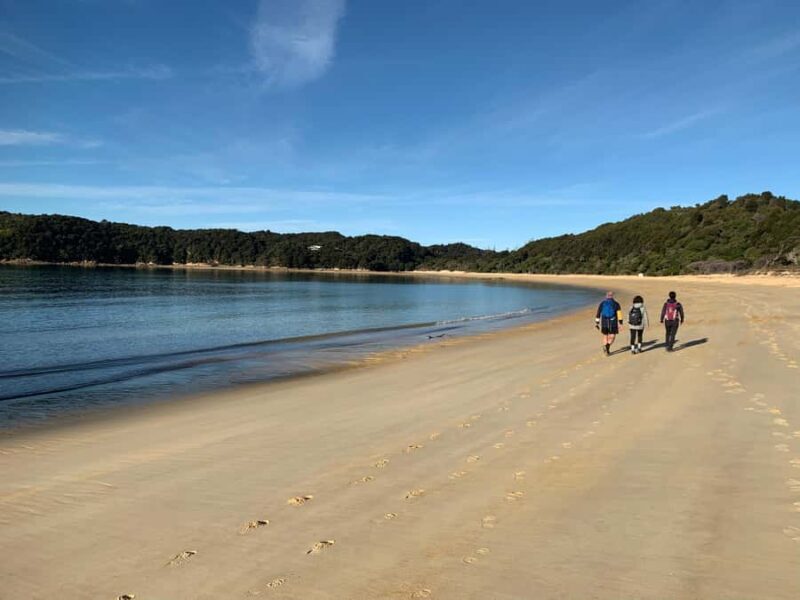 Abel Tasman National Park: Cruise and Hike Full-Day Tour - Who Should Consider This Tour?