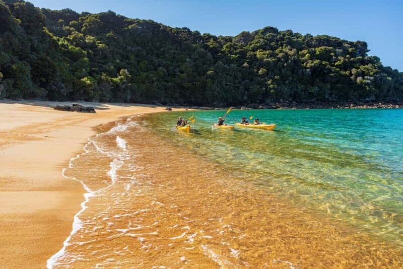 Abel Tasman National Park: Cruise, Kayak, & Hike Tour - FAQs