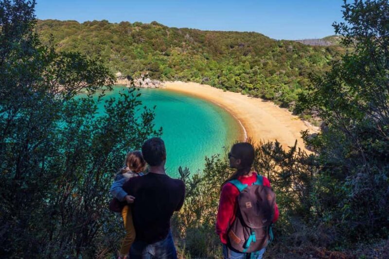 Abel Tasman National Park: Waka & Walk Tour - An In-Depth Look at the Tour