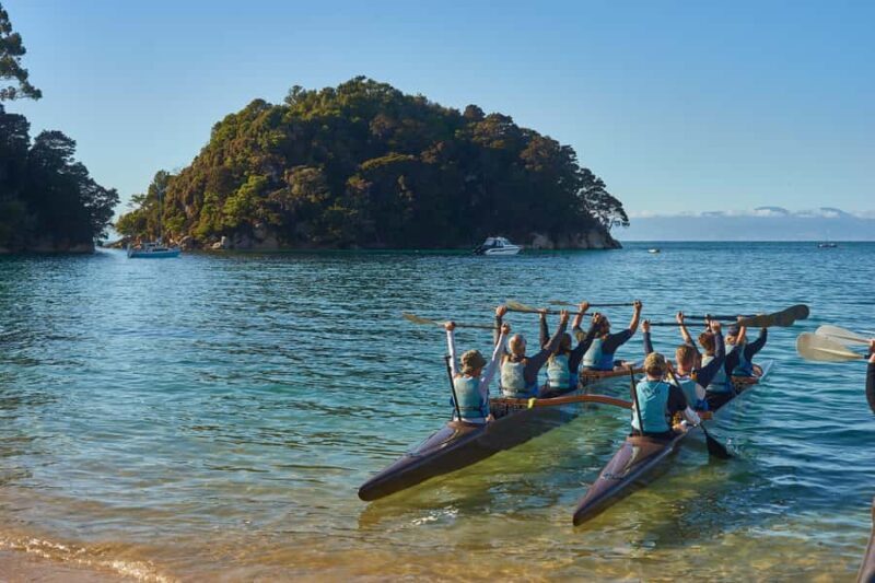 Abel Tasman National Park: Waka & Walk Tour - Final Thoughts