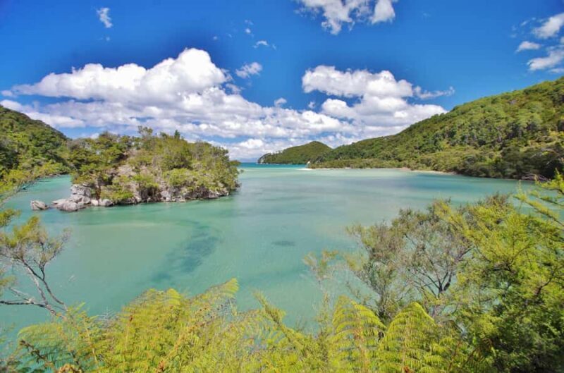 Abel Tasman: Sea Shuttle Cruise and Walking Tour Combo - Frequently Asked Questions