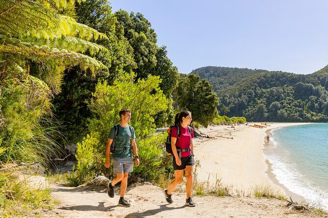 Abel Tasman Vista Cruise - The Realities of the Experience