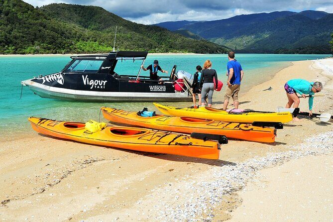Abel Tasman Vista Cruise - Authentic Experiences & Traveler Perspectives