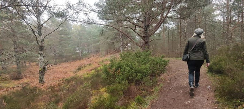 Aberdeen: Highland Heritage, Balmoral and Tartan Day Tour - Who Will Love This Tour?