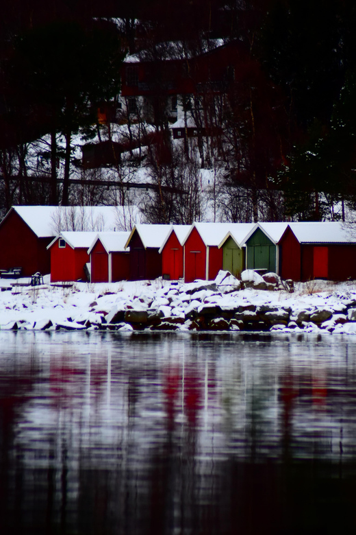 Abisko: Fjord Sightseeing and Photography Tour - The Sum Up