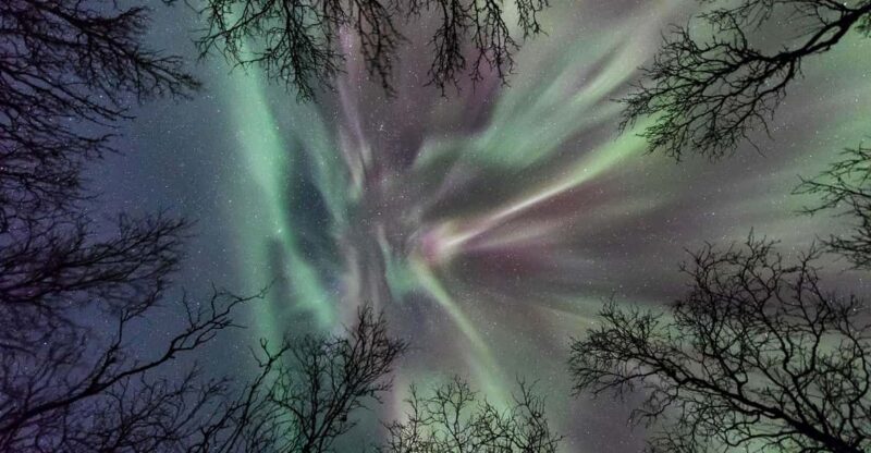 Abisko: Guided Autumn Aurora Chase With Hotel Transfers - Inclusions and Recommendations