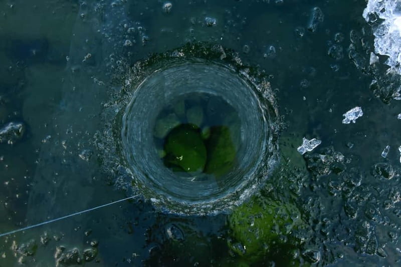 Abisko: Ice Fishing Experience - What the Reviews Say