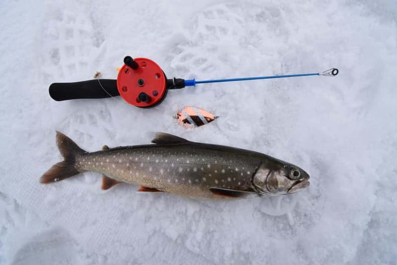 Abisko: Ice Fishing Experience - Who Would Love This Tour?