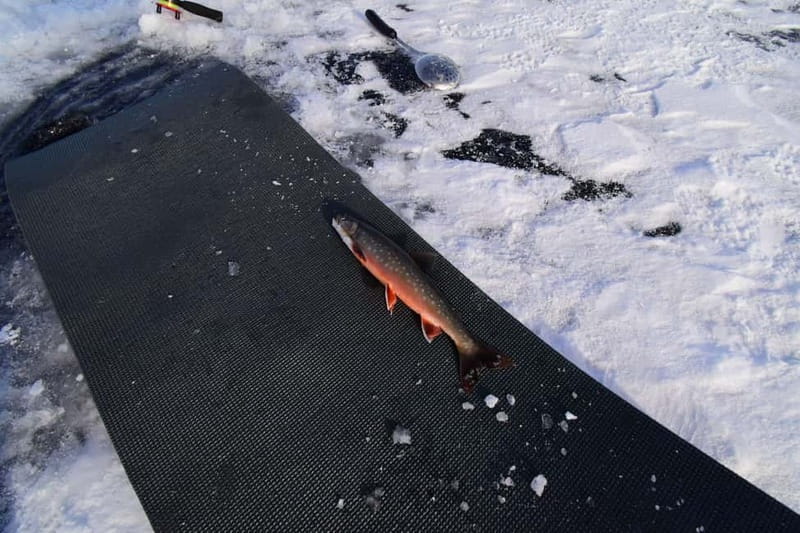 Abisko: Ice Fishing Experience - Final Thoughts