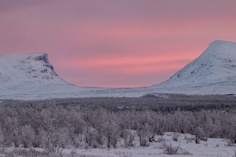 Abisko National Park: Scenic Morning Hike With Transfer - Safety and Accessibility