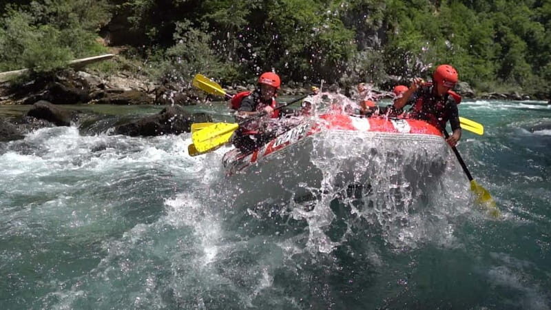 abljak: Half-Day Tara Canyon Rafting Tour - Introduction