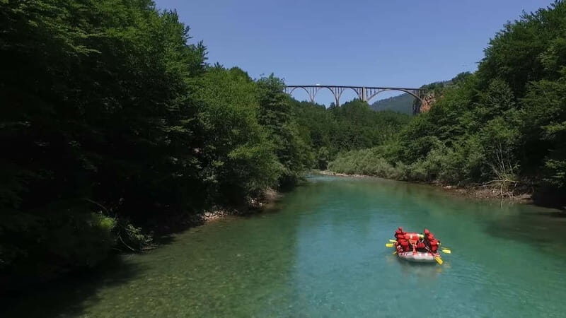 abljak: Half-Day Tara Canyon Rafting Tour - Key Points