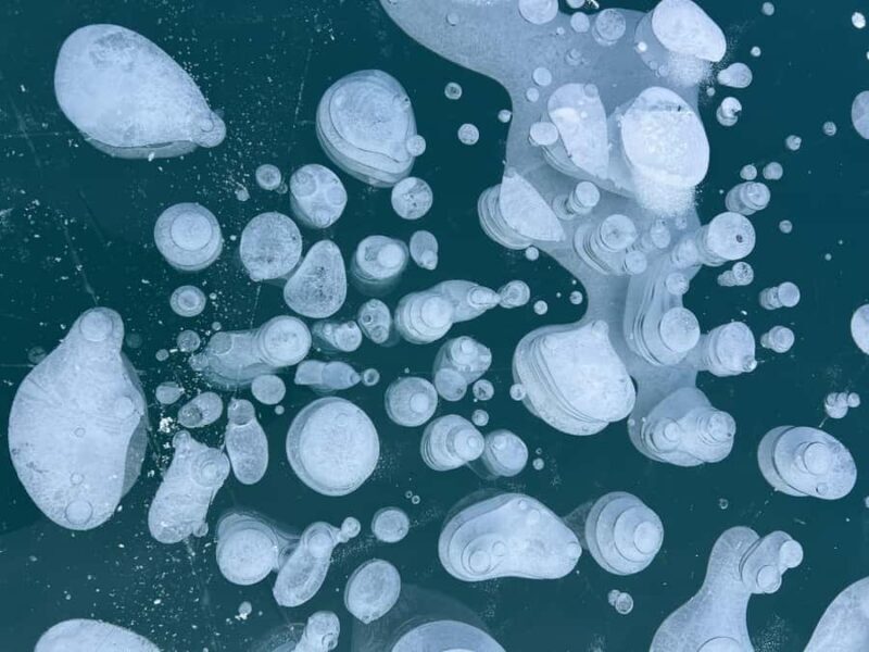 Abraham IceBubble, Peyto, Bow Lake with Snowshoeing& Icewalk - Value & Pricing