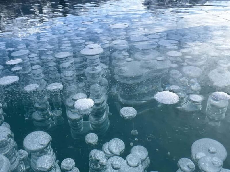 Abraham IceBubble, Peyto, Bow Lake with Snowshoeing& Icewalk - FAQs