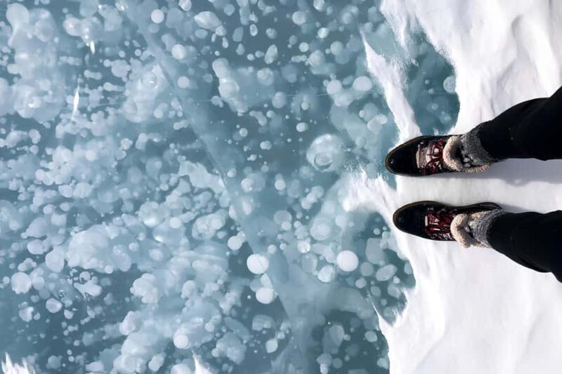 Abraham IceBubble/Sunwapta Falls, Snowshoeing Bow & Peyto - The Value for Your Money