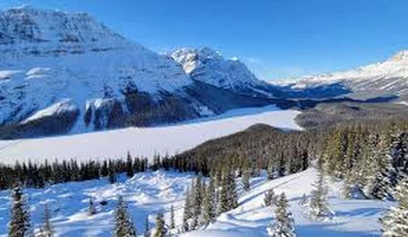 Abraham IceBubble,Bow Lake, Peyto Lake, Lake Louise Day Trip - Who Should Consider This Tour?
