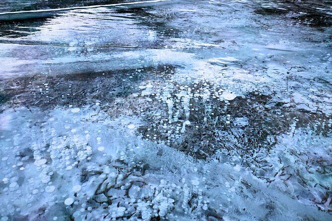 Abraham Lake (Ice bubble lake) Peyto Bow Lake Crowfoot Glacier - Authenticity and Guide Expertise