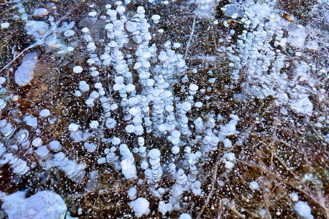 Abraham Lake (Ice bubble lake) Peyto Bow Lake Crowfoot Glacier - The Sum Up