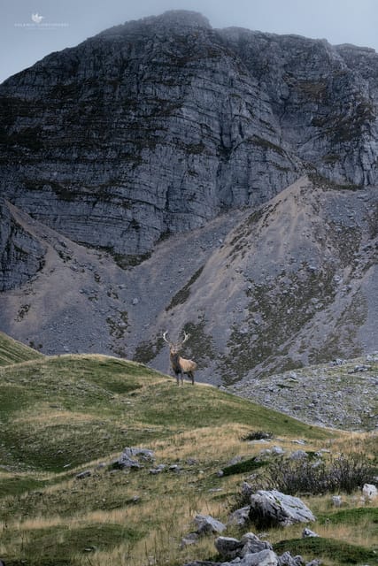 Abruzzo, Lazio and Molise National Park: Trekking&Wildlife. - Practical Tips for the Day