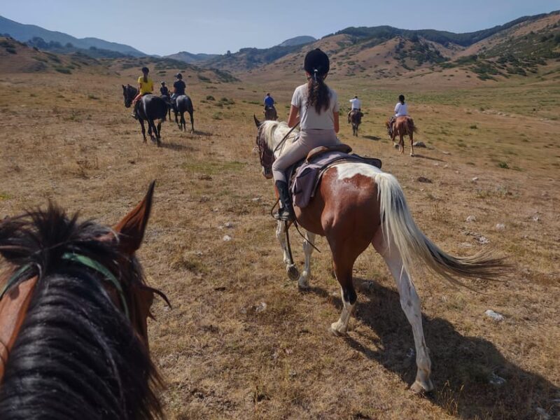 Abruzzo: Simbruini National Park Horseback Daily Adventure - Who Will Love This Tour?