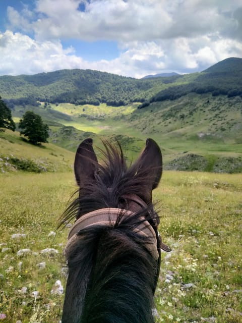 Abruzzo: Simbruini National Park Horseback Daily Adventure - Final Thoughts