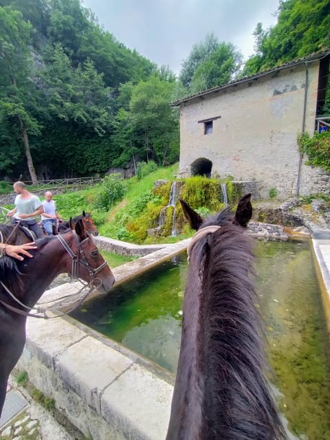 Abruzzo: Simbruini National Park Horseback Daily Adventure - The Sum Up