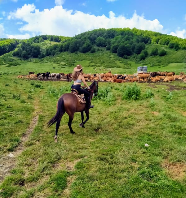 Abruzzo: Simbruini National Park Horseback Daily Adventure - FAQ