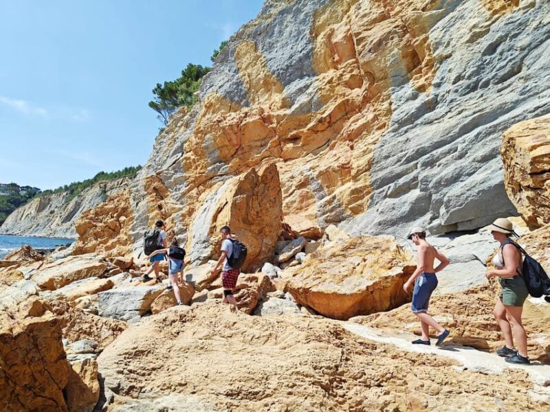 Absolutely Calanques of Marseille. Canyons, Fishing Village, and Turquoise Beach - Key Points