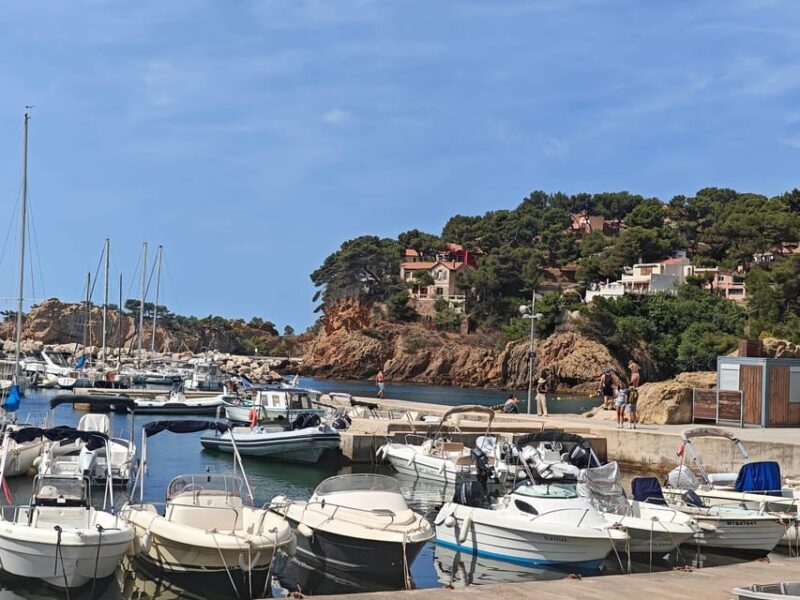 Absolutely Calanques of Marseille. Canyons, Fishing Village, and Turquoise Beach - Inclusions and What to Expect