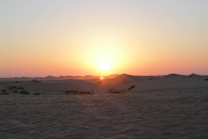 Abu Dhabi Desert Safari With BBQ Dinner & Shows - Included Amenities and Services