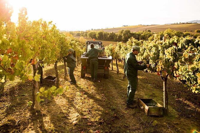 Academia Gallery Live Guided Tour with Skip the Line Tickets - Frequently Asked Questions