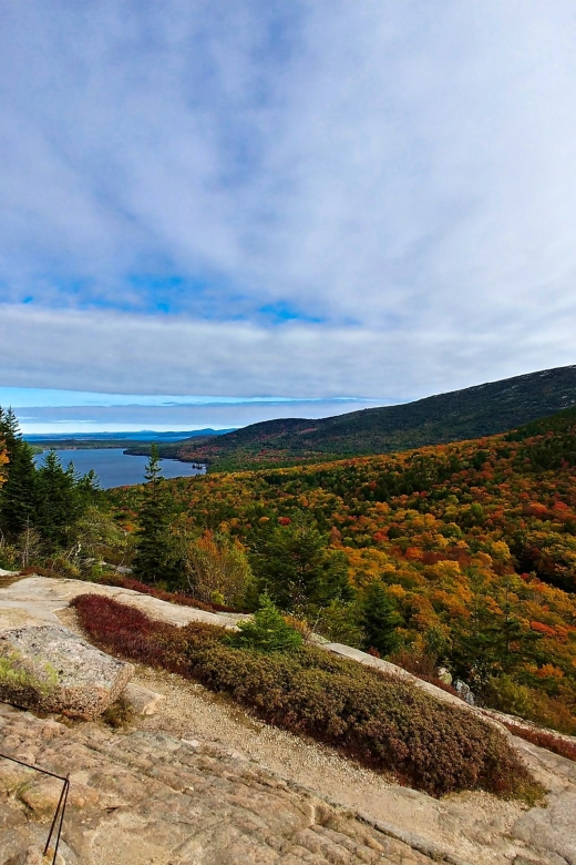 Acadia Half Day Private Bike Tour - Description