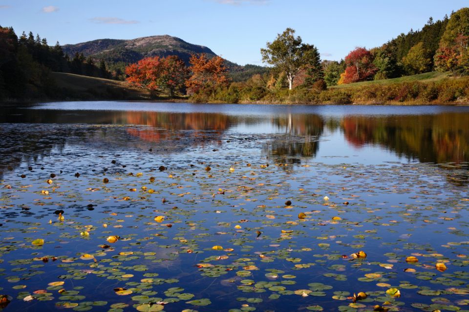 Acadia: Mount Desert Island Self-Guided Driving Tour - Key Points