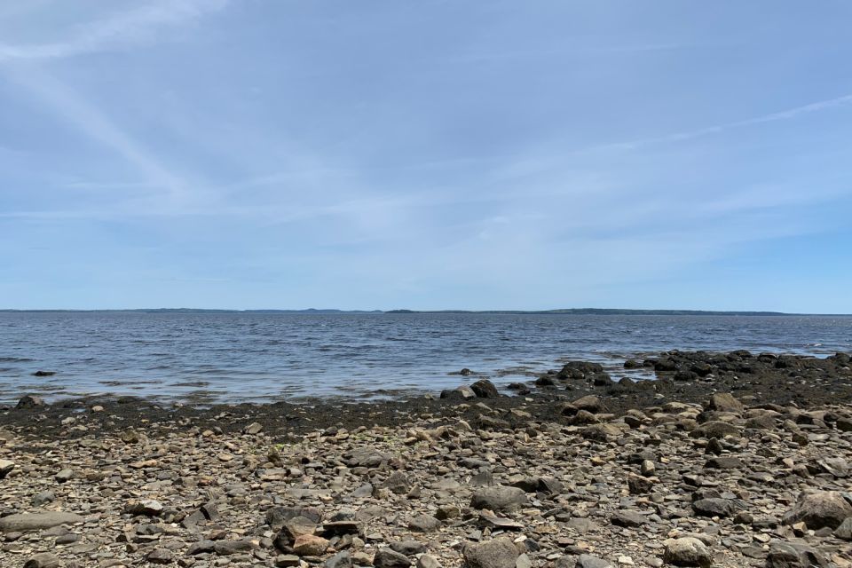 Acadia: Mount Desert Island Self-Guided Driving Tour - Ship Harbor Trail and Wonderland Trail