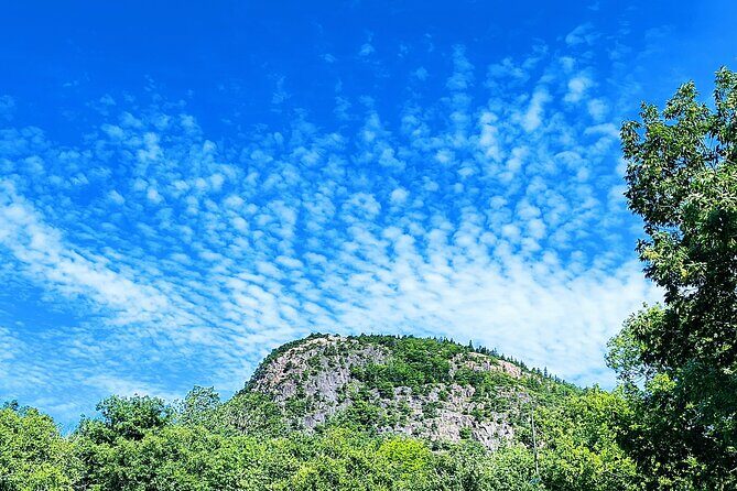Acadia National Park Bass Harbor Lighthouse Private Driving Tour - The Sum Up