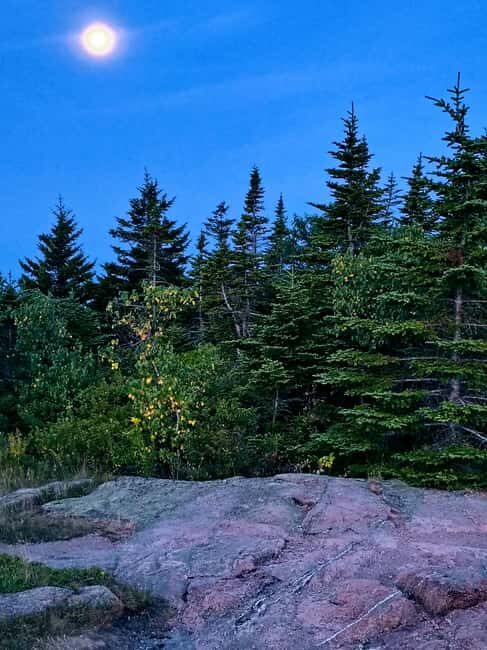 Acadia National Park: Cadillac Summit Sunrise Driving Tour - The Value of This Sunrise Tour