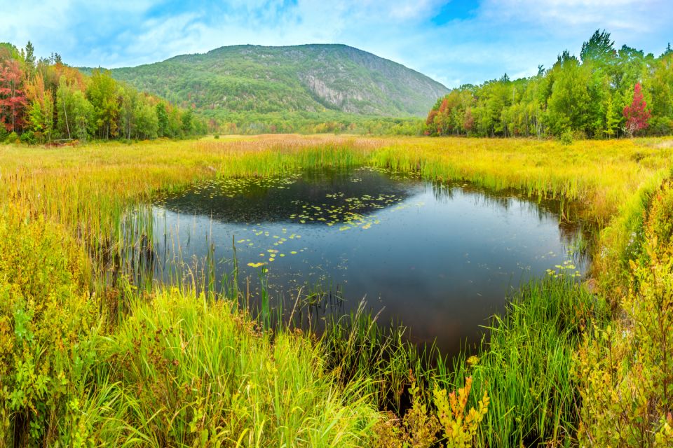 Acadia National Park Self-Guided Driving Tour From Cadillac - Key Points