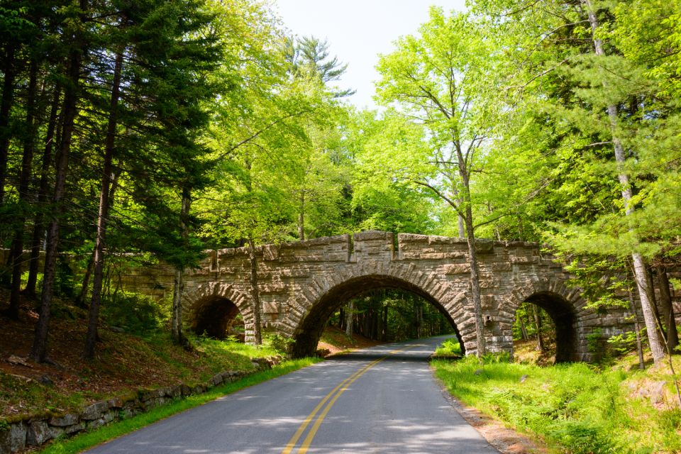 Acadia National Park Self-Guided Driving Tour From Cadillac - The Green Mountain Cog Railway