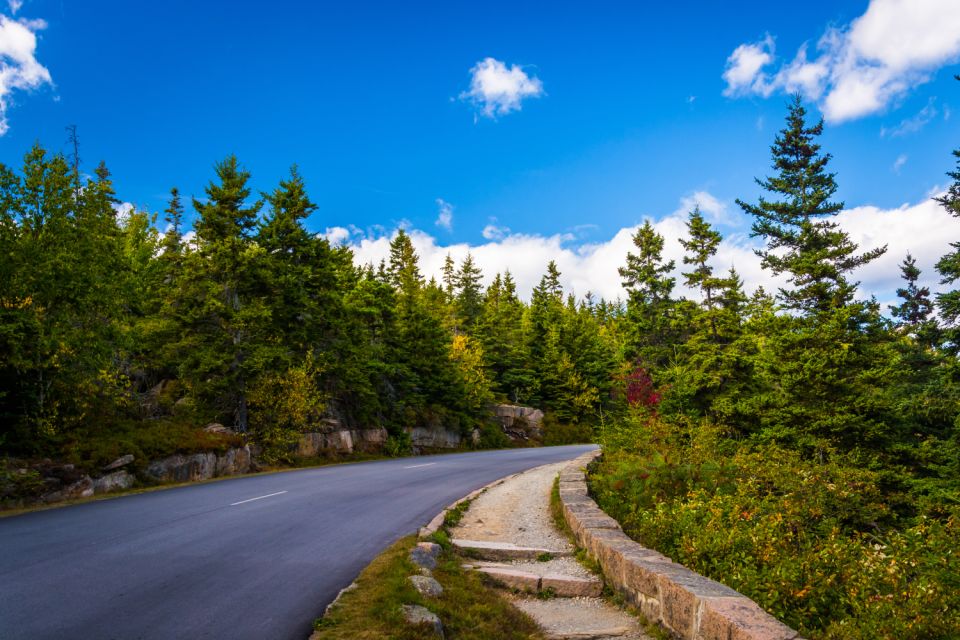 Acadia National Park Self-Guided Driving Tour From Cadillac - Wildlife Spotting Opportunities