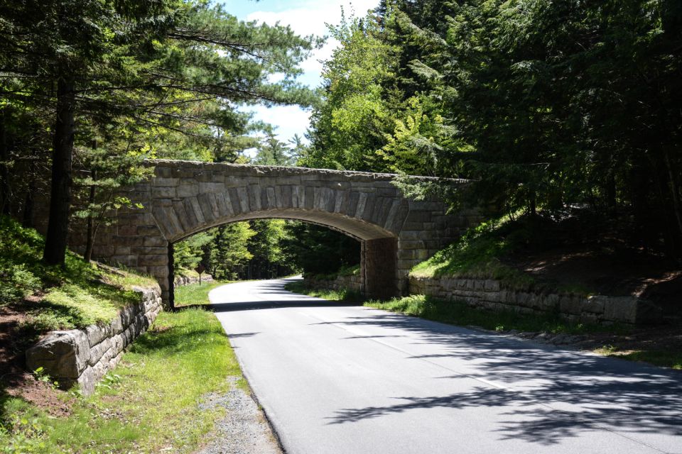 Acadia National Park Self-Guided Driving Tour From Cadillac - Features of the Action Tour Guide