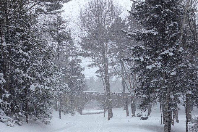 Acadia National Park Winter Wonderland Private Driving Tour - Who Is This Tour Best For?