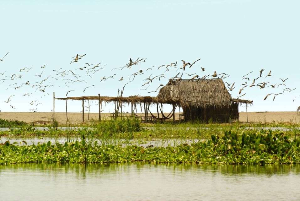 .Acapulco: 6-Hour Coyuca Lagoon Tour - Pickup and Drop-off