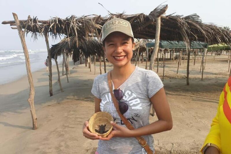 -Acapulco: 6hr City Tour & Turtle Release & High Diver Show - The Itinerary: What You Can Expect