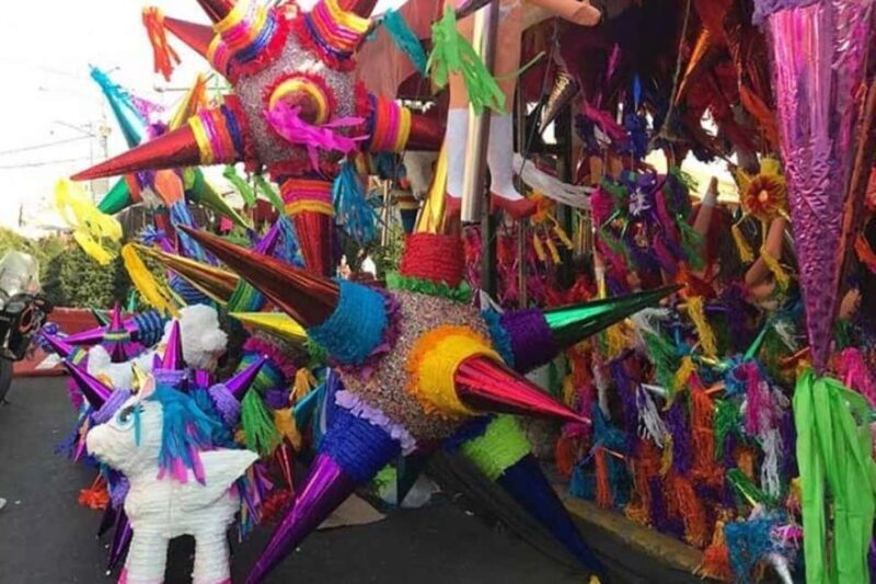 -Acapulco: 6hr City Tour & Turtle Release & High Diver Show - Who Will Love This Tour?