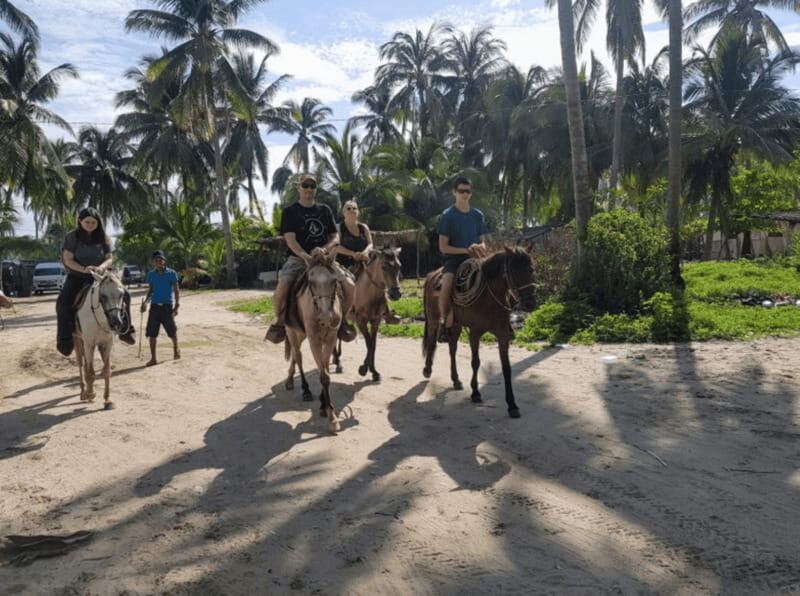 Acapulco: Bonfil Beach Horseback Riding Experience - Key Points