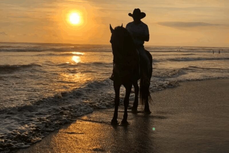 Acapulco: Bonfil Beach Horseback Riding Experience - The Sum Up