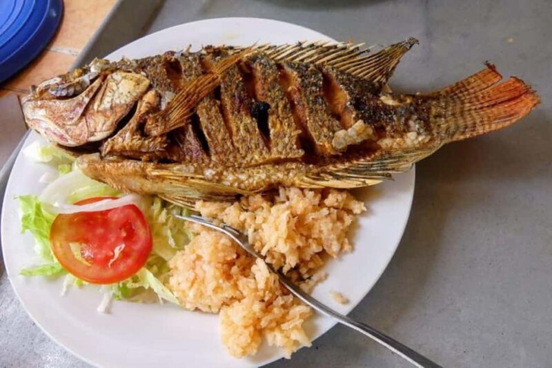 -Acapulco: Coyuca Lagoon Boat Ride &Baby Turtle Release Tour - Key Points