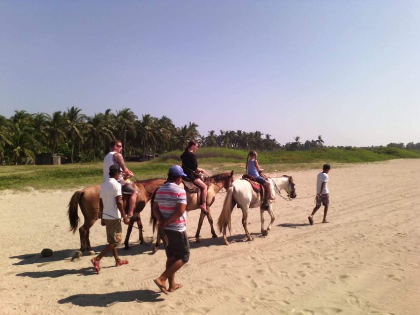 Acapulco: Gentle Beach Horse Riding Tour on Barra Vieja - Native Fauna and History