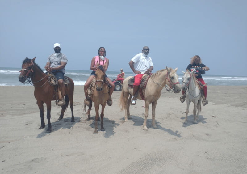 Acapulco: Horseback Riding, Turtle Camp, and Crocodile Tour - Key Points