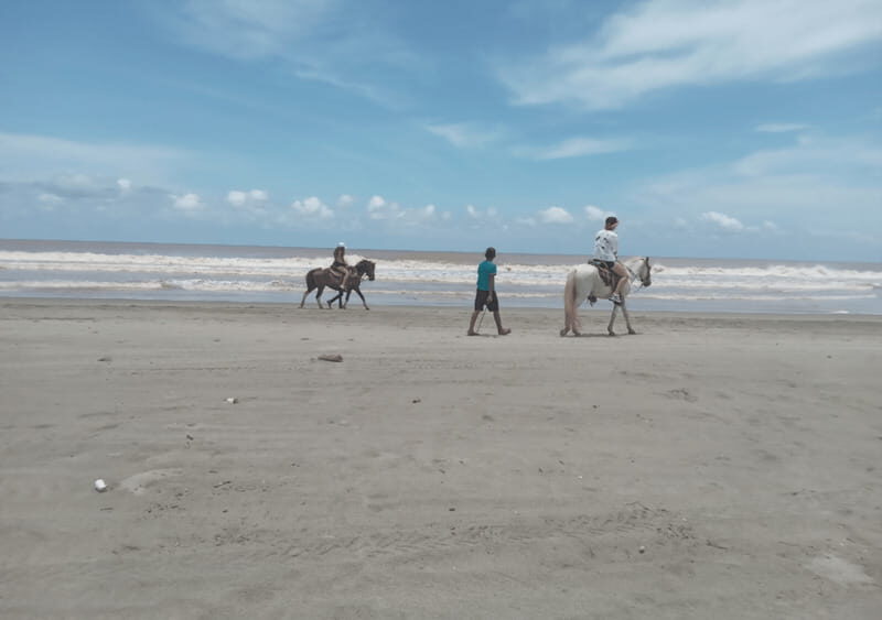 Acapulco: Horseback Riding, Turtle Camp, and Crocodile Tour - An In-Depth Look at the Tour Experience